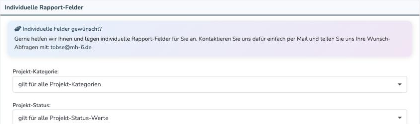 Bereich Individuelle Rapport-Felder mit den Dropdowns Projekt-Kategorie und Projekt-Status
