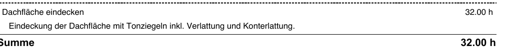 Rapport-PDF: Leistung mit Titel und darunter eingerückter Beschreibung